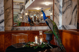 tattersalsweddingWishingwelltable